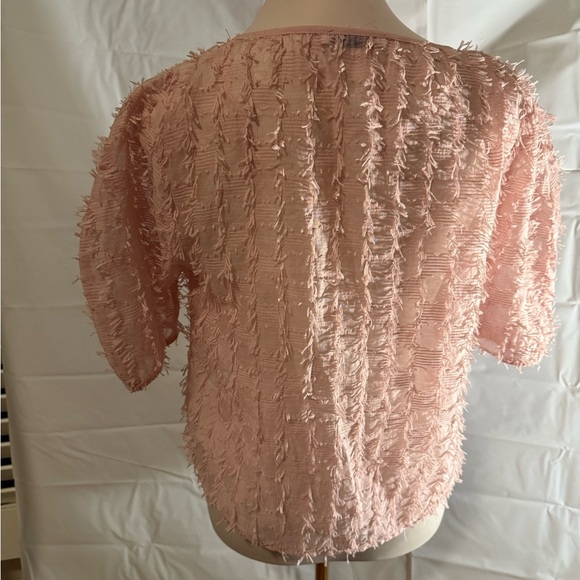 Zara Pink Crop Top with Flutter Sleeves and Boxy Fit - Picture 2 of 6